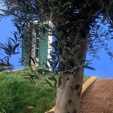 Penzion Casa Dos Mangues São Martinho do Porto Exteriér fotografie