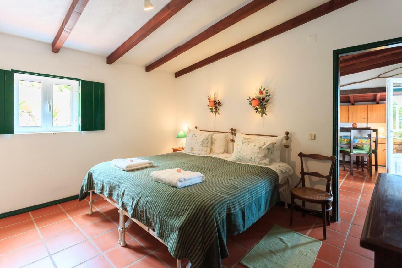 Penzion Casa Dos Mangues São Martinho do Porto Exteriér fotografie